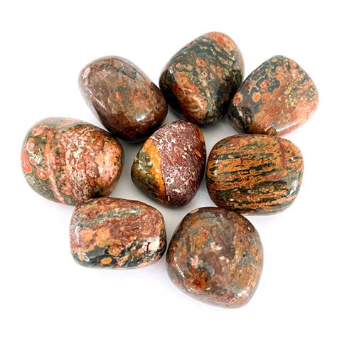 Gemstone - Leopard Skin Jasper - Village Toys