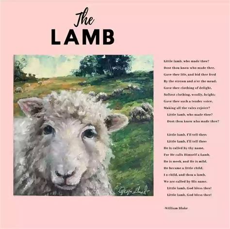 The Lamb: by William Blake - Summary and Analysis