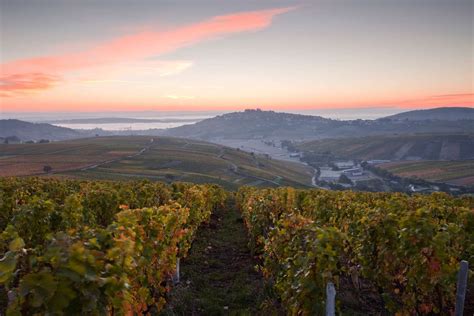 Visiting French Vineyards: These Are 10 of the Best Wine Regions in France