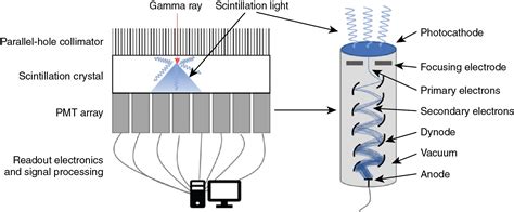 Single photon emission computed tomography | Radiology Key