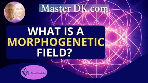 What is a Morphogenetic Field? | Darshan II:2, 2022 - YouTube