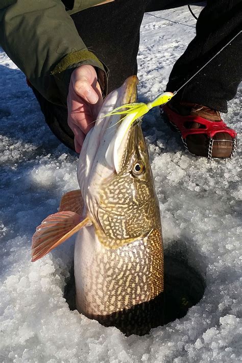 Targeting Big Pike in Winter | North Dakota Game and Fish