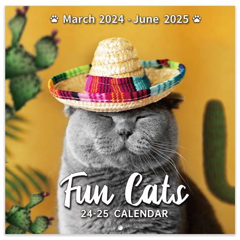 Snapklik.com : 2024-2025 Wall Calendar - Funny Cat Calendar 2024-2025, Mar 2024 - Jun 2025, Wall ...