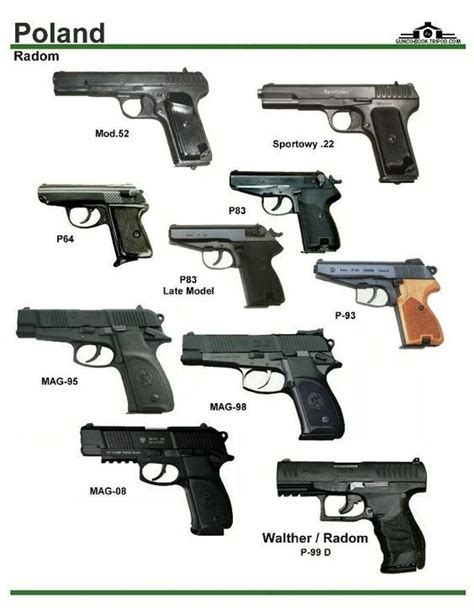 Poland handguns different types - www.anatomynote.com | Hand guns, Military guns, Guns