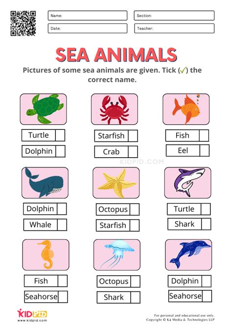 Sea Animals Worksheets for Kindergarten | Animal worksheets ...