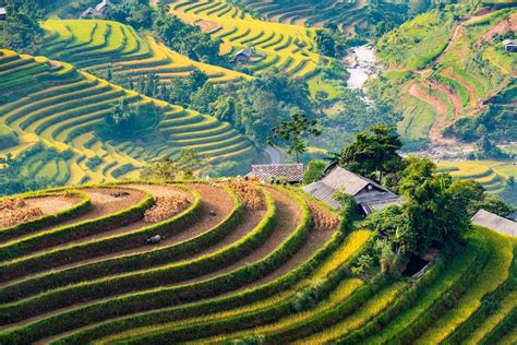 Hoang Su Phi guide - 5 best rice terraces & how to get there