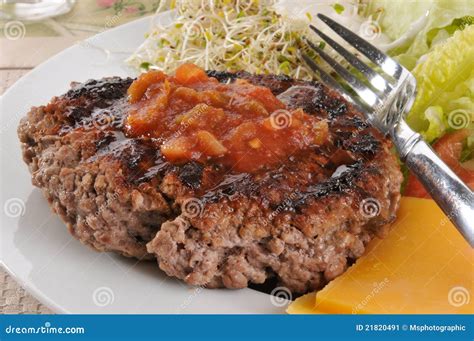 Grilled Ground Beef Patty Stock Image - Image: 21820491