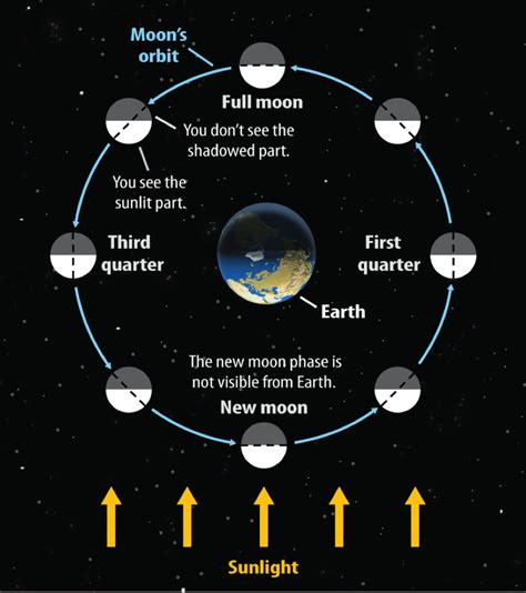 Interactions In The Sunearthmoon System Studycom