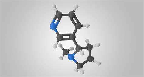 Nicotine molecule 3D model - TurboSquid 1474059