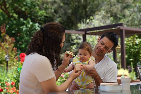 The New Parents’ Guide to Puree Food for Babies – Miniware