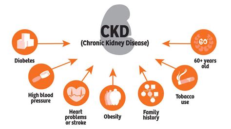 Chronic Kidney Disease (CKD) | 99 Health Ideas