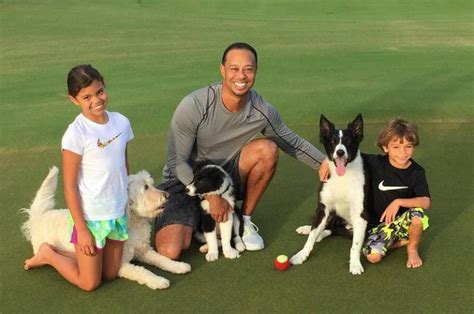 Golfer Tiger Woods Family: Wife, Kids, Siblings, Parents - BHW