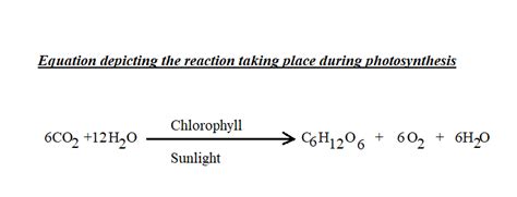 Equation For Photosynthesis