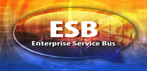 What distinguishes the Mule ESB? - Global4Net - E-commerce Software House