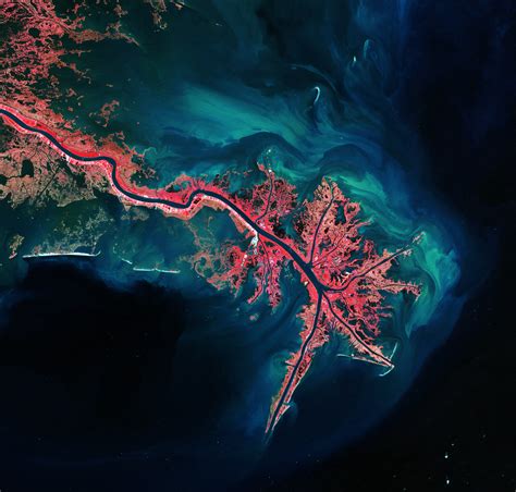 Mississippi River Delta Pictures