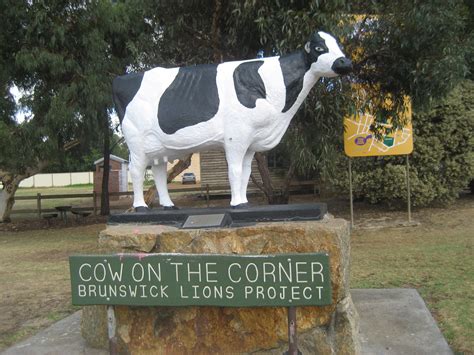 File:Cow on the Corner, Brunswick, Western Australia.jpg - Wikimedia Commons