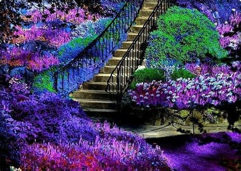 purple | Beautiful gardens, Dream garden, Outdoor