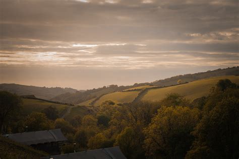 Free photo: Green Leaf Trees Under Cloudy Sky - Clouds, Outdoors, View ...