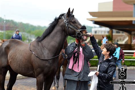 Belterra Park Racing | IQS Executive