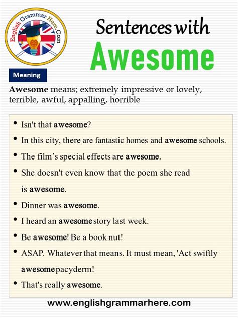 Sentences with Awesome, Awesome in a Sentence and Meaning When using the English language, we ...