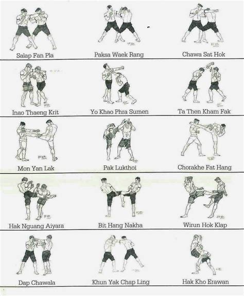 Muay Thai Boxing Moves - How to Self Defense