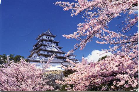 🔥 [46+] Japanese Castle Desktop Wallpapers | WallpaperSafari