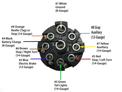 Compare Pollak 9-Pole, vs 7-Way Molded Trailer | etrailer.com