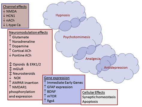 How does ketamine work? | Find Ketamine Infusion Clinics | Ketamine Clinics Directory