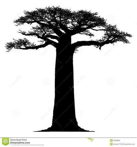 Download Baobab Tree svg for free - Designlooter 2020 👨‍🎨