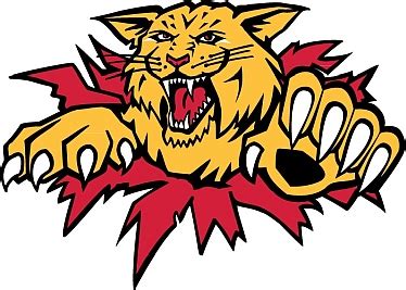 Moncton Wildcats Color Codes Hex, RGB, and CMYK - Team Color Codes