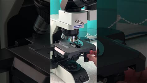 Using the Olympus BX43 microscope, equipped with Microvisioneer software. - YouTube