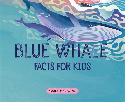 Blue Whale facts for kids - AQUILA Blog