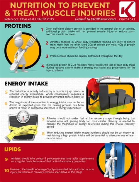 Nutrition to prevent & treat muscle injuries – YLMSportScience