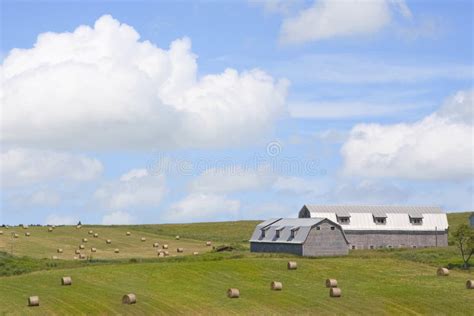 Island Farm stock image. Image of barn, summer, fencing - 13327655