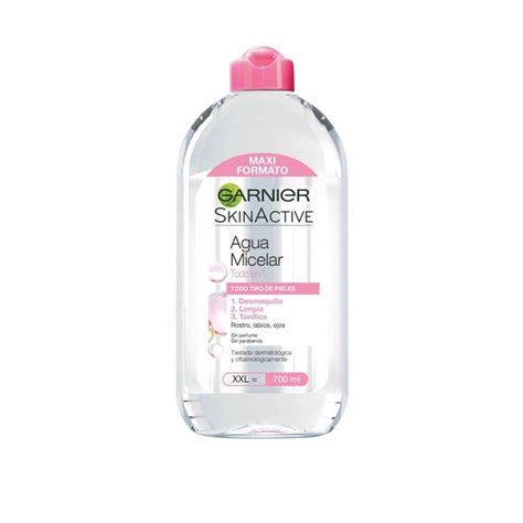 Garnier Micellar Water Cleanser | lupon.gov.ph