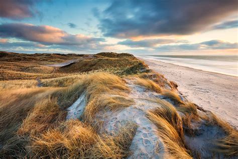 Bas Meelker - Windswept North sea coastline of Denmark - Sondervig ...