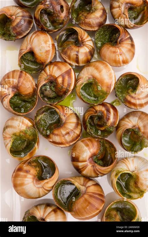 Snails edible hi-res stock photography and images - Alamy