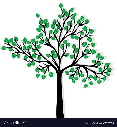 Green tree isolated over white background Vector Image