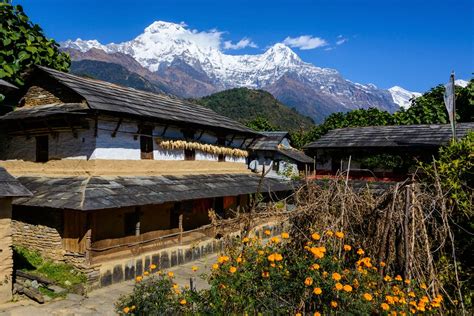 Pokhara to Ghandruk - Best Routes & Travel Advice | kimkim