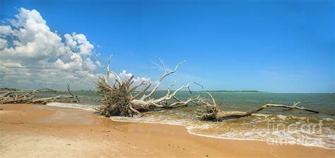 Panorama, Boneyard Beach, Big Talbot Island State Park, Florida ...