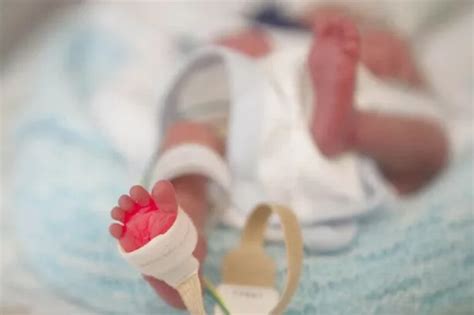 New TV series Baby Hospital will focus on the tiny babies clinging onto ...