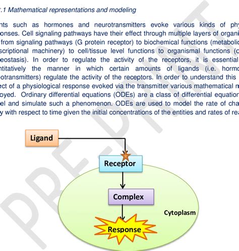 cell signaling information flow-from ligand to receptor to ...