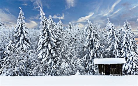 Log Cabin in Winter Forest