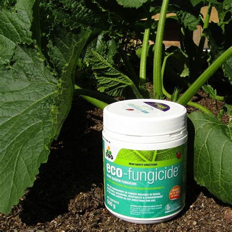 Eco Fungicide Organic Powder- 500g | The Seed Collection