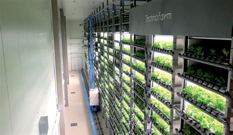 Vertical farms, building a viable indoor farming model for cities