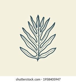 Tropical Leaves Icon Outline Drawing Minimal Stock Vector (Royalty Free) 1959833167 | Shutterstock