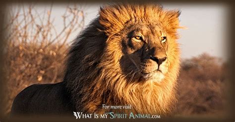 Lion Symbolism & Meaning | Spirit, Totem & Power Animal