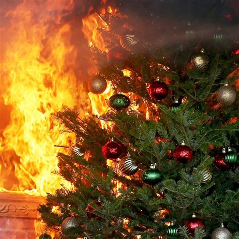 Christmas Tree Fire Safety Tips - Orion Construction