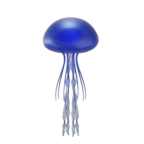 Transparent Jellyfish