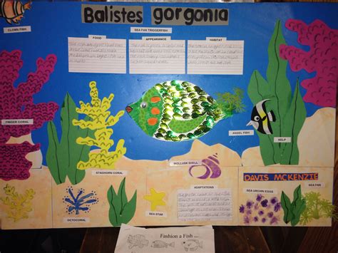 Fashion a Fish 4th grade science coral reef ecosystem poster | Coral reef ecosystem, Coral reef ...